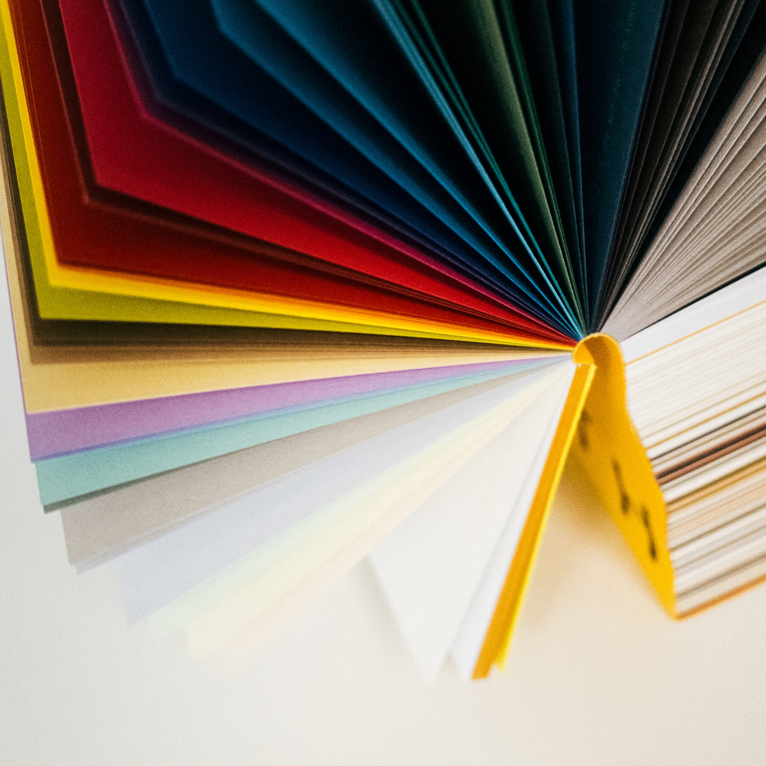 color plan